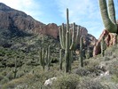 photo thumbnail #13