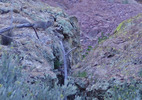 photo thumbnail #10