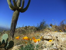 photo thumbnail #4