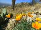 photo thumbnail #5