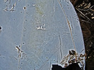 photo thumbnail #14