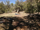 photo thumbnail #8