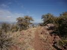 photo thumbnail #11
