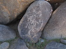 photo thumbnail #11