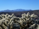 photo thumbnail #3