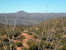 photo thumbnail #13