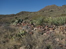 photo thumbnail #4