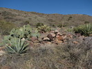 photo thumbnail #5