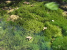 photo thumbnail #15