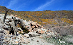 photo thumbnail #3