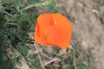 photo thumbnail #2