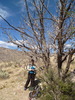 photo thumbnail #14