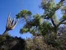 photo thumbnail #12