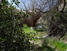 photo thumbnail #15