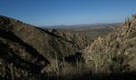photo thumbnail #2