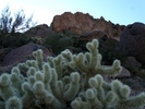 photo thumbnail #7