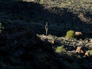 photo thumbnail #10