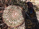 photo thumbnail #3