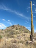photo thumbnail #13