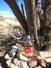 photo thumbnail #14