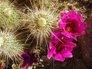 photo thumbnail #5