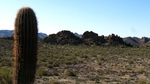 photo thumbnail #5