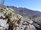 photo thumbnail #2