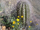photo thumbnail #3