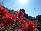 photo thumbnail #11