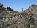 photo thumbnail #2