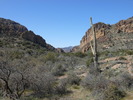 photo thumbnail #9
