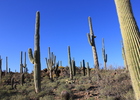 photo thumbnail #11