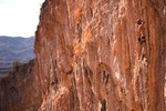 photo thumbnail #2