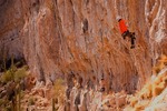 photo thumbnail #6