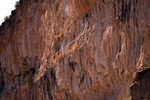 photo thumbnail #8