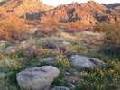 photo thumbnail #4