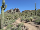 photo thumbnail #1
