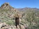 photo thumbnail #2