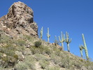 photo thumbnail #3