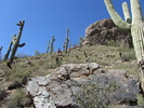 photo thumbnail #4