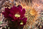 photo thumbnail #1