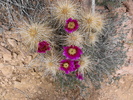 photo thumbnail #9