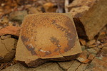 photo thumbnail #5