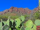 photo thumbnail #9