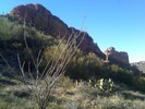 photo thumbnail #11