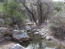 photo thumbnail #5
