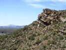 photo thumbnail #1