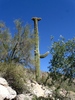 photo thumbnail #11