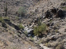 photo thumbnail #7