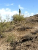 photo thumbnail #8